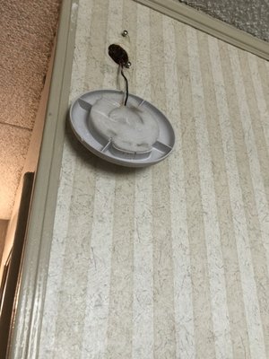 Smoke detector